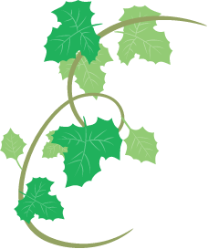 装飾（植物）